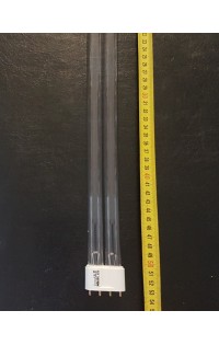 Pl 55watt